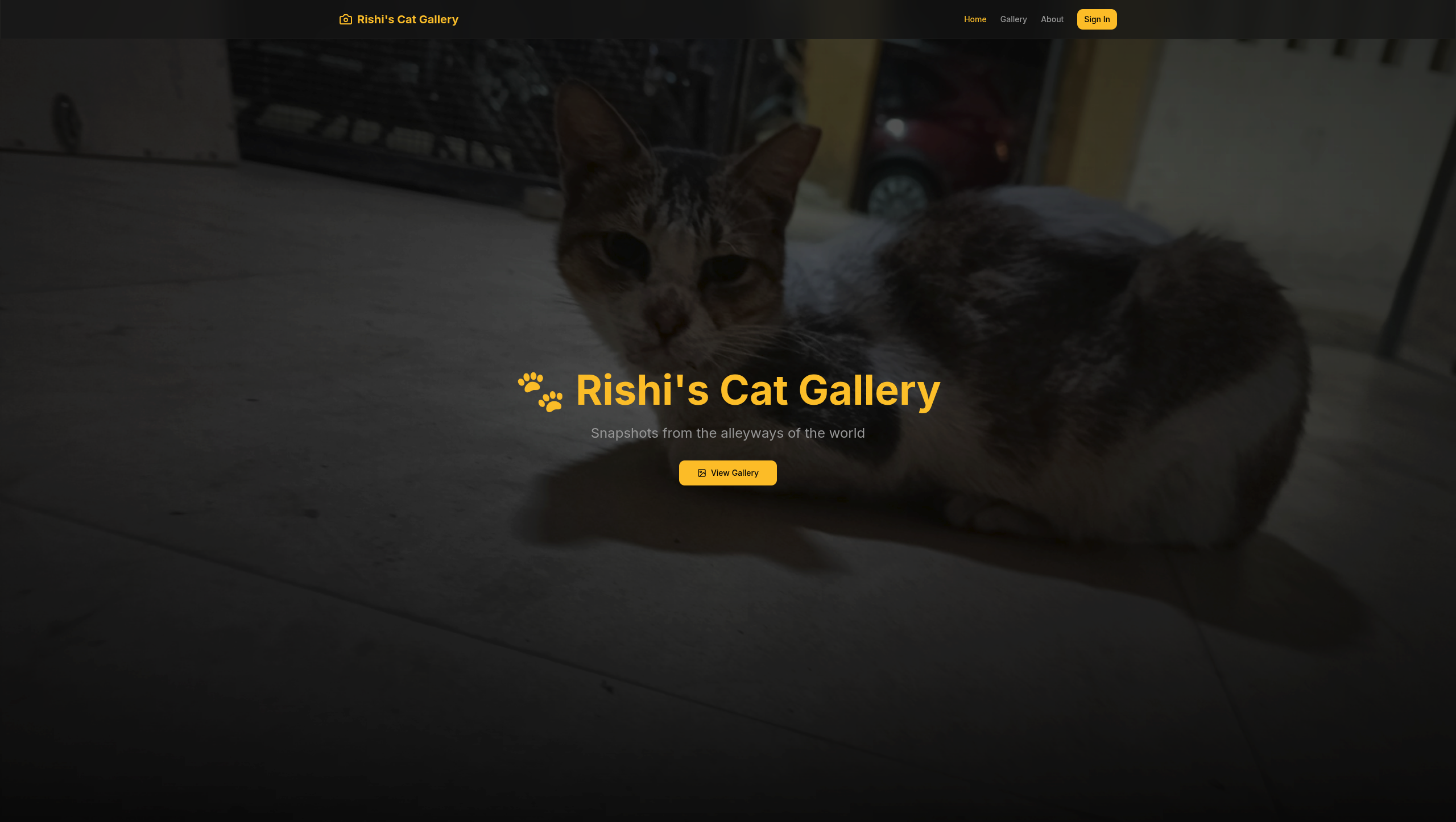 Street cats of Mumbai photographed for the Cat Gallery archive by Rishikesh Giridhar